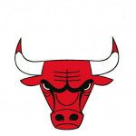 Team Chicago Bulls