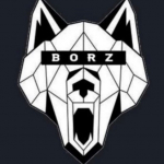 Team Borz - logo, team logo, photo, club image