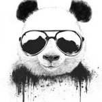 Panda City