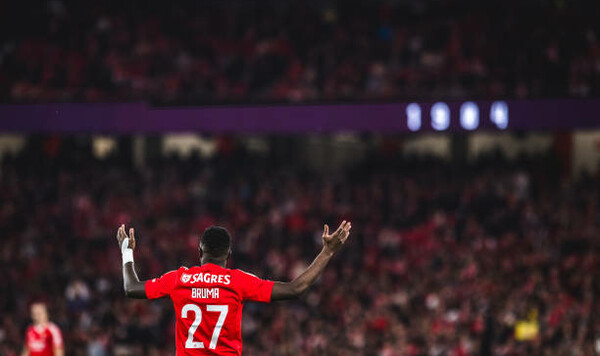 На какой позиции Бенфика? Таблица чемпионата Португалии после 24-го тура Порту, Бенфика, Анатолий, Лиги