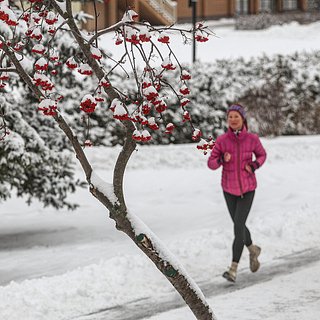 Чернышенко назвал число занимающихся спортом в России женщин России, Чернышенко, Владимир, Путин