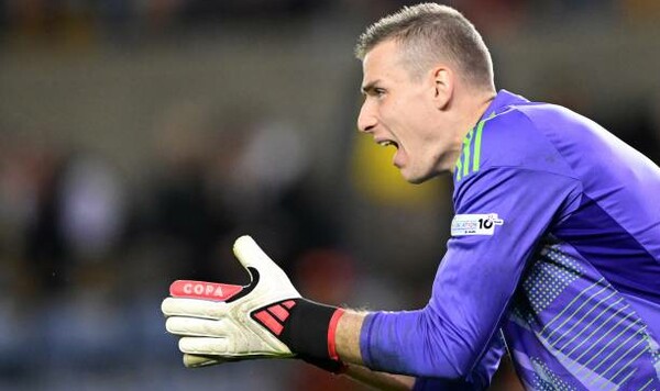 Лунин, Украина