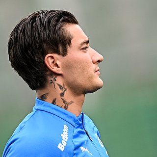 CAS назвал сумму долга сбежавшего из России норвежца перед «Ростовом» Ростов, Норманн, Раед, России