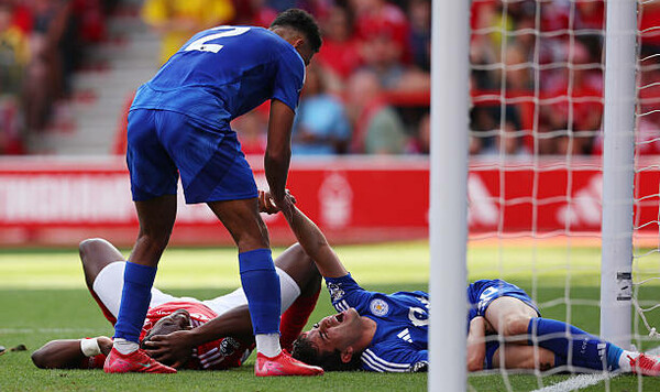 Скандал в АПЛ. Стало известно, почему на поле выбежал президент Ноттингема Марінакіс, Форест, Ноттінгем, Авонії, Санту