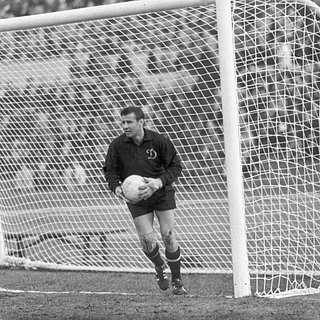 Яшина, Рикардо, Майер, Дзофф, Самора