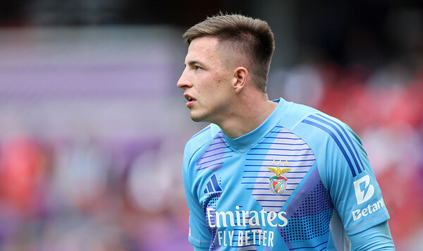 Трубин, Баварии, Нойер, Эдвин