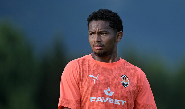 Эгиналду, Торино, Шахтер, Бундеслиги