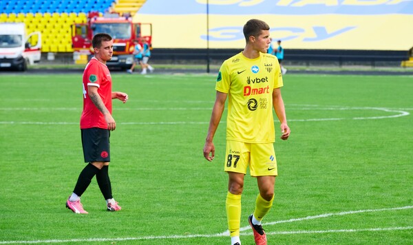 Шищенко, Буковины, Агробизнес, Первой