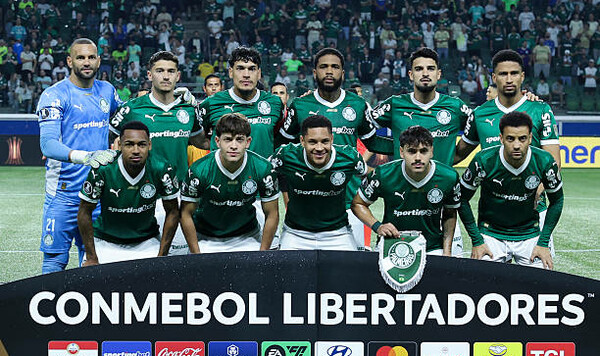 Кубка, Либертадорес, Палмейрас