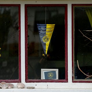 Немецкий футбольный клуб попал под критику украинцев за песню на русском языке Невену, Суботичу, Маша, Эльче, Хуммельсу