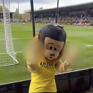 Пьяного талисмана клуба выгнали со стадиона во время матча Пренс, Франции, Анже, Парк, Mail