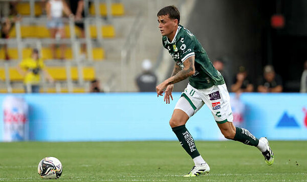 Фонсеки, Леону, Николаса, Плейта, Мексики