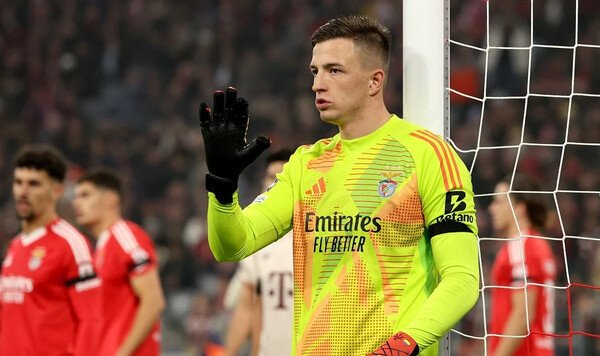 Трубин, Бенфики, Туманного, Бундеслиги