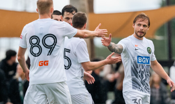 Полесье, Брно, Чехии, Таллес, Коста