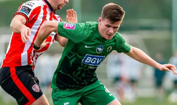 Украины, Довбику, Ребров, Краснопир