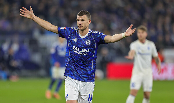 Джеко, Шальке, Эдин, Бундеслиге, Муслич