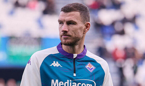 Джеко, Шальке, Италии, Бразилии