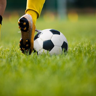 России, Дегтярев, Митрофанов, Максим