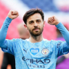 Bernardu Silva