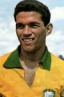 Manuel dos Santos Garrincha