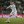 Guti